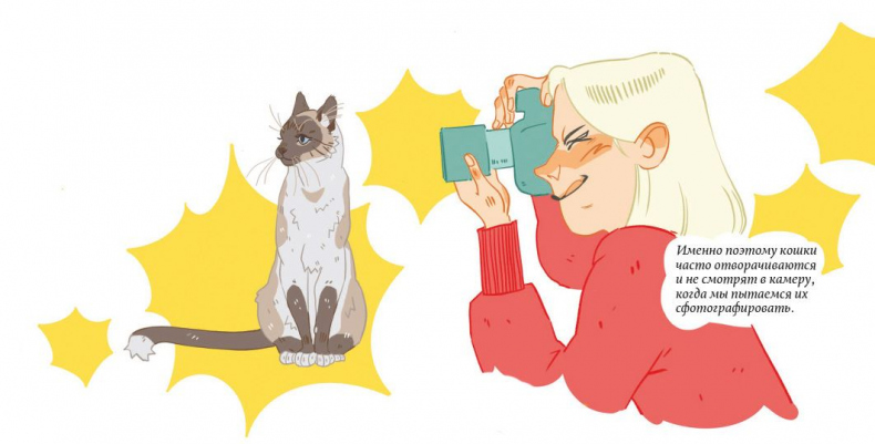 Иллюстрация к книге — Секреты кошек. Как понять кошку и стать ей другом [i_068.jpg]