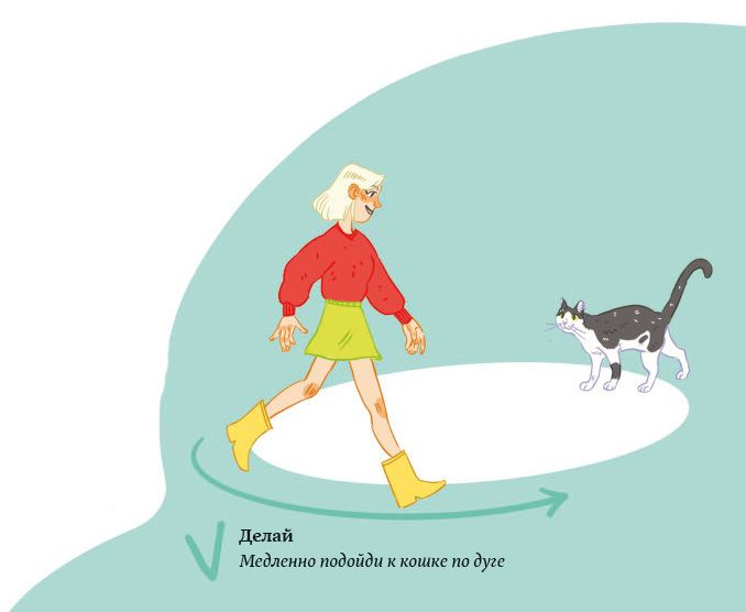 Иллюстрация к книге — Секреты кошек. Как понять кошку и стать ей другом [i_079.jpg]