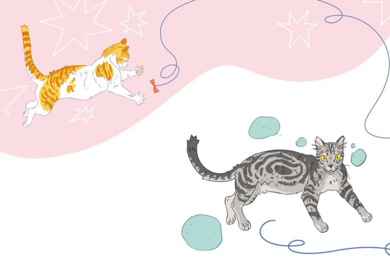 Иллюстрация к книге — Секреты кошек. Как понять кошку и стать ей другом [i_096.jpg]