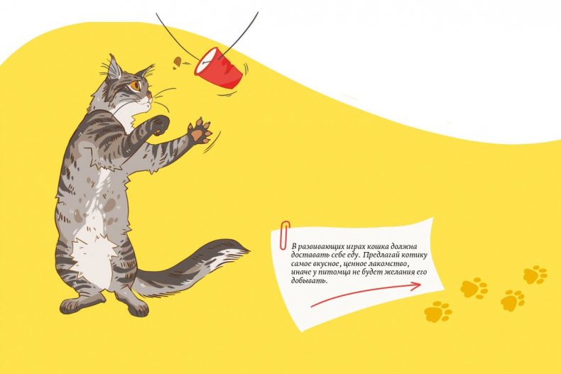 Иллюстрация к книге — Секреты кошек. Как понять кошку и стать ей другом [i_097.jpg]