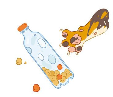 Иллюстрация к книге — Секреты кошек. Как понять кошку и стать ей другом [i_101.jpg]