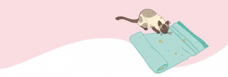 Иллюстрация к книге — Секреты кошек. Как понять кошку и стать ей другом [i_102.jpg]