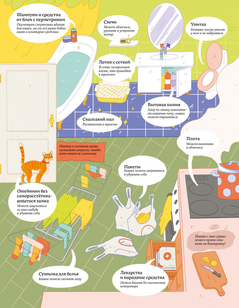 Иллюстрация к книге — Секреты кошек. Как понять кошку и стать ей другом [i_107.jpg]