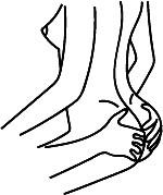 Иллюстрация к книге — Сексуальный фастфуд. Физиология отношений глазами женщины [i_027.jpg]