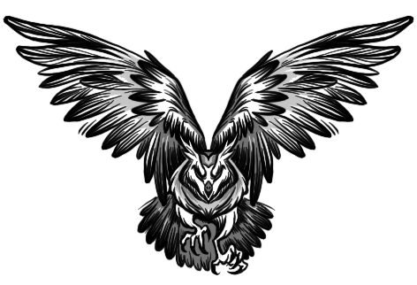 Иллюстрация к книге — Ледяная колдунья [i_003.jpg]