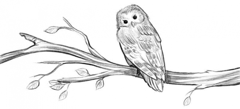 Иллюстрация к книге — Талисман четырёх стихий [i_006.jpg]