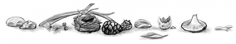 Иллюстрация к книге — Талисман четырёх стихий [i_008.jpg]