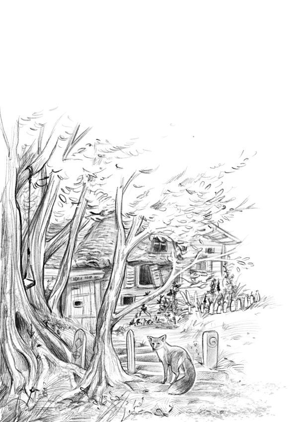 Иллюстрация к книге — Талисман четырёх стихий [i_009.jpg]