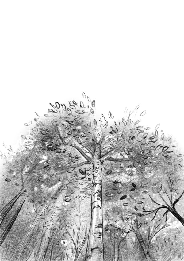 Иллюстрация к книге — Талисман четырёх стихий [i_020.jpg]