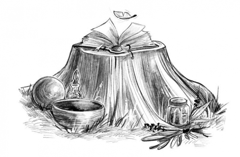 Иллюстрация к книге — Талисман четырёх стихий [i_024.jpg]