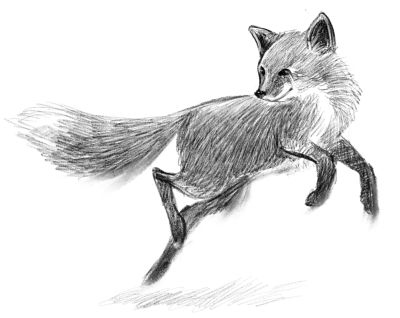 Иллюстрация к книге — Талисман четырёх стихий [i_027.jpg]