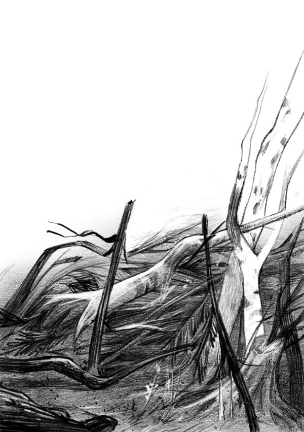 Иллюстрация к книге — Талисман четырёх стихий [i_034.jpg]