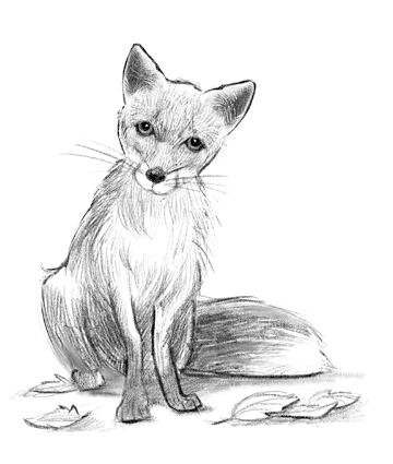 Иллюстрация к книге — Говорящий лес [i_004.jpg]