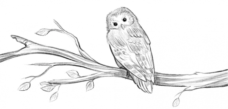 Иллюстрация к книге — Говорящий лес [i_013.jpg]