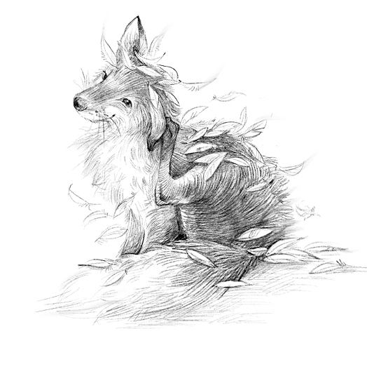 Иллюстрация к книге — Говорящий лес [i_031.jpg]