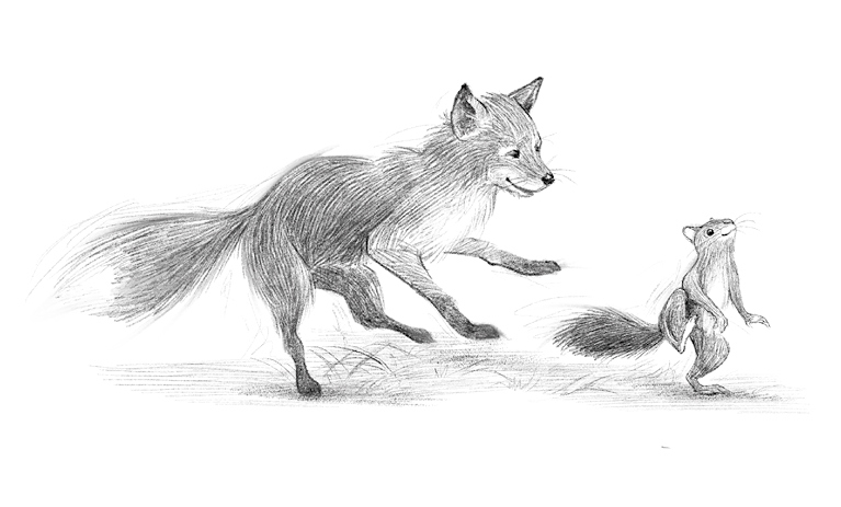 Иллюстрация к книге — Говорящий лес [i_040.jpg]