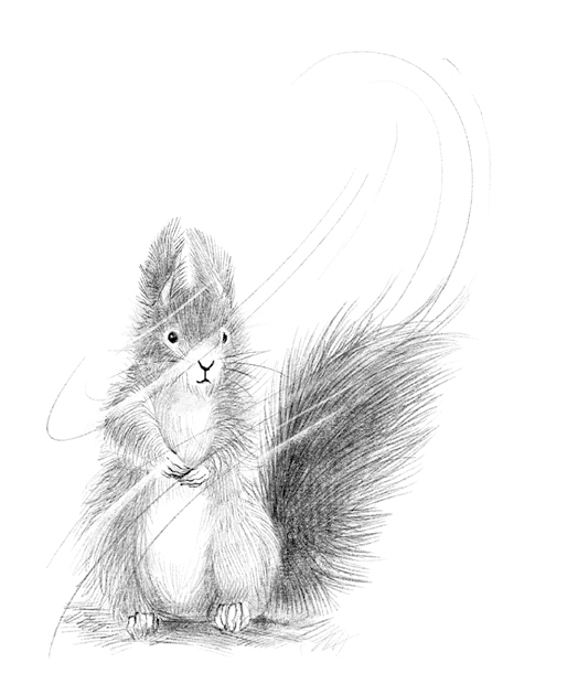 Иллюстрация к книге — Говорящий лес [i_041.jpg]