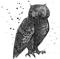 Иллюстрация к книге — Говорящий лес [i_049.jpg]