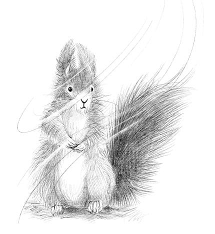 Иллюстрация к книге — Говорящий лес [i_060.jpg]