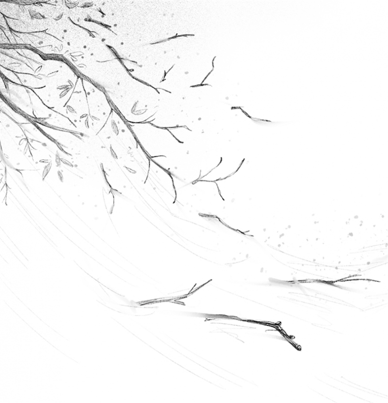 Иллюстрация к книге — Говорящий лес [i_076.jpg]