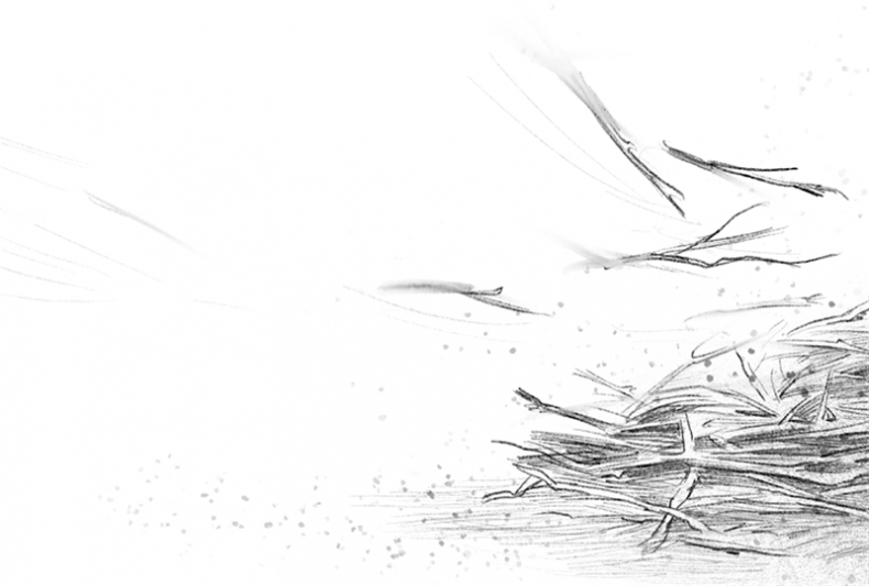 Иллюстрация к книге — Говорящий лес [i_077.jpg]