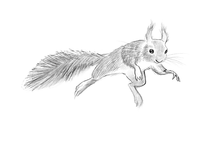 Иллюстрация к книге — Говорящий лес [i_108.jpg]