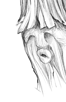 Иллюстрация к книге — Говорящий лес [i_123.jpg]