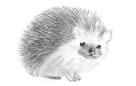 Иллюстрация к книге — Говорящий лес [i_125.jpg]