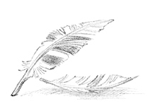 Иллюстрация к книге — Говорящий лес [i_130.jpg]