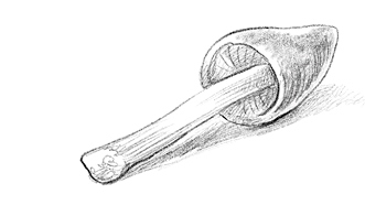 Иллюстрация к книге — Говорящий лес [i_132.jpg]