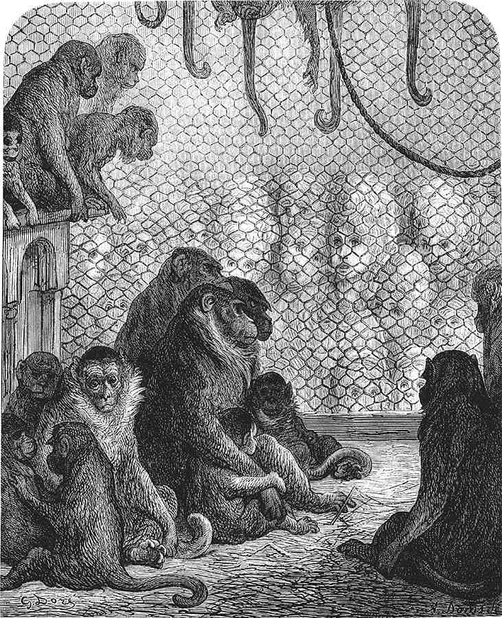 Иллюстрация к книге — Лондон. Путешествие по королевству богатых и бедных [i_068.jpg]