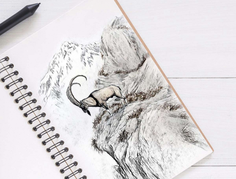 Иллюстрация к книге — Референс. Дорога к цвету [_08230309d893ec5dfa51d4436f3b4b31.jpg]