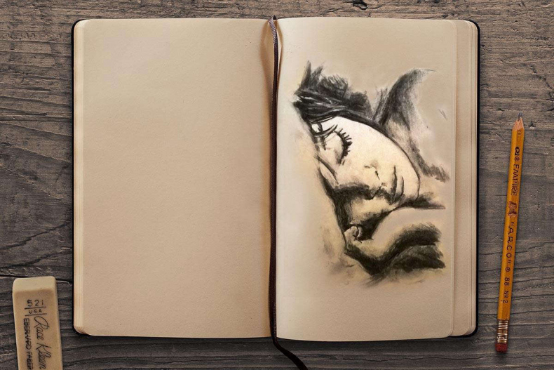 Иллюстрация к книге — Референс. Дорога к цвету [_433520f346094b8efe3307313122cc39.jpg]