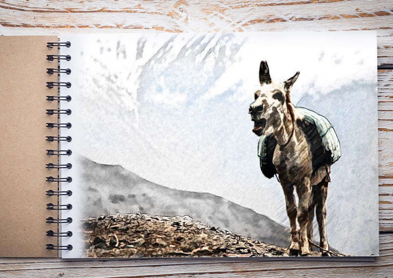 Иллюстрация к книге — Референс. Дорога к цвету [_68f8ec6c912dfca2d4c35025a8cced6d.jpg]