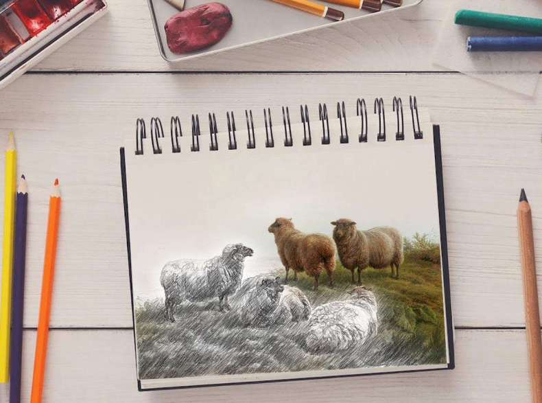 Иллюстрация к книге — Референс. Дорога к цвету [_762e172aa1d3b392284a992fda4b9fae.jpg]