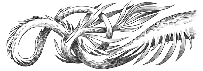 Иллюстрация к книге — Четвертое крыло [i_069.jpg]