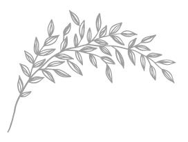 Иллюстрация к книге — Порочная красота [i_019.jpg]