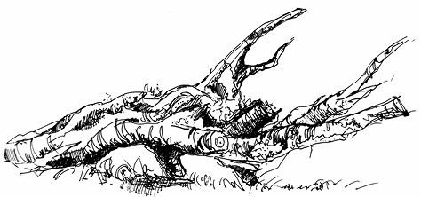 Иллюстрация к книге — Призрачный поцелуй [i_025.jpg]