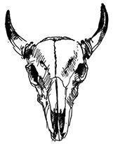 Иллюстрация к книге — Призрачный поцелуй [i_040.jpg]