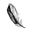 Иллюстрация к книге — Призрачный поцелуй [i_088.jpg]