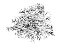 Иллюстрация к книге — Призрачный поцелуй [i_096.jpg]