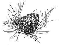 Иллюстрация к книге — Призрачный поцелуй [i_104.jpg]