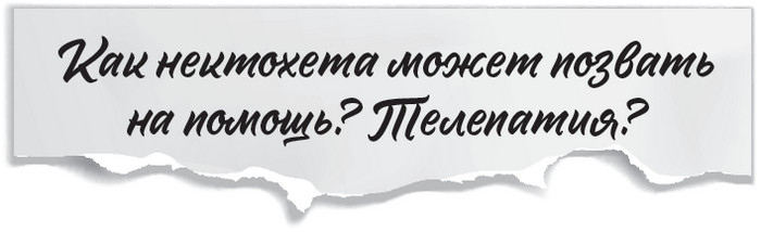 Иллюстрация к книге — Плюшевая голова [i_035.jpg]