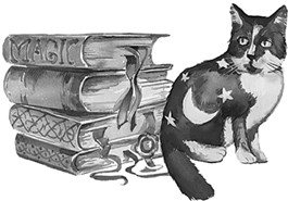 Иллюстрация к книге — Волшебство из чайной лавки [i_009.jpg]