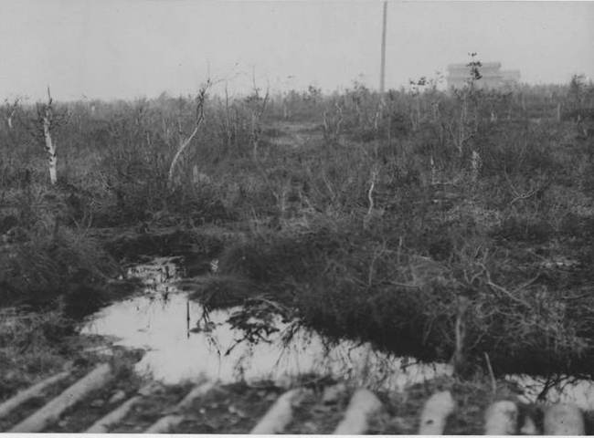 Иллюстрация к книге — Белый Север. 1918 [i_026.jpg]