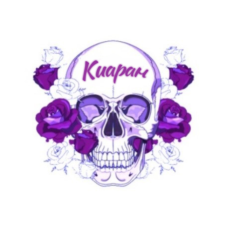 Иллюстрация к книге — Перикулюм [img_6.jpg]