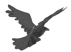 Иллюстрация к книге — Чинители [i_001.jpg]