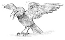 Иллюстрация к книге — Самая необычная дружба [i_005.jpg]