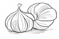 Иллюстрация к книге — Самая необычная дружба [i_022.jpg]