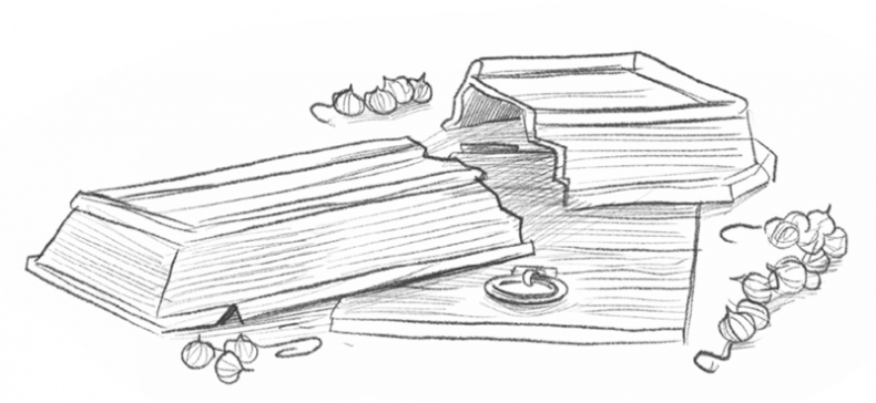 Иллюстрация к книге — Самая необычная дружба [i_037.jpg]